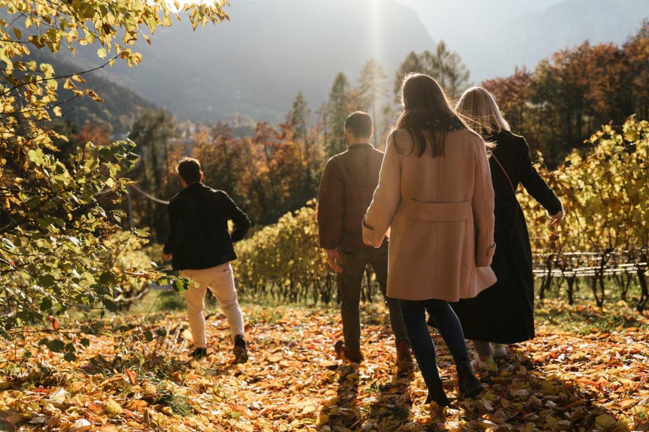 Michlhaus Nature And Suites 알디노 외부 사진